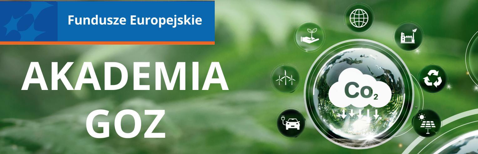 Zdjęcie artykułu Projekt „Akademia GOZ”