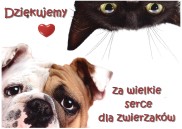 Obrazek dla: Krakowskie Towarzystwo Opieki nad Zwierzętami